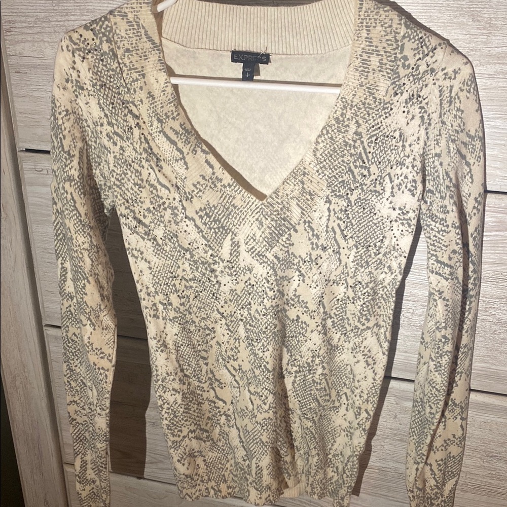 Express Sweater- S/P